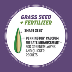 Pennington Smart Seed Dense Shade soil prep for overseeding in shade.