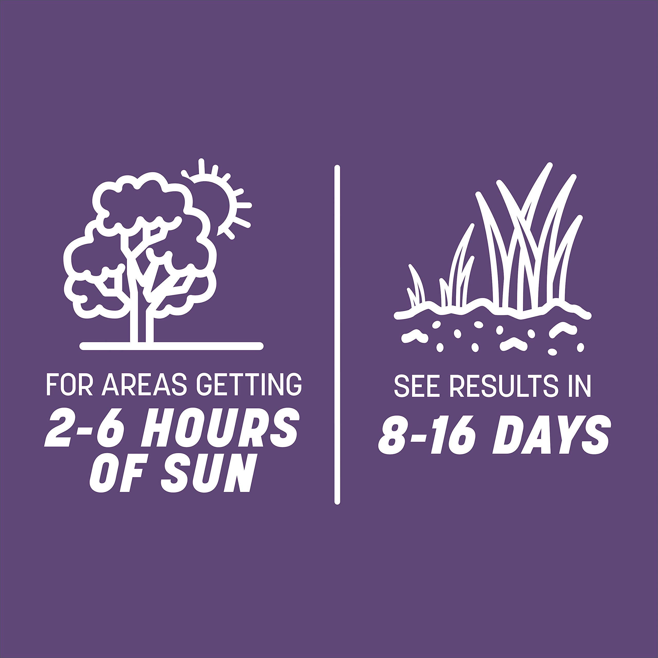 Pennington Smart Seed Dense Shade watering savings concept for lawn care.