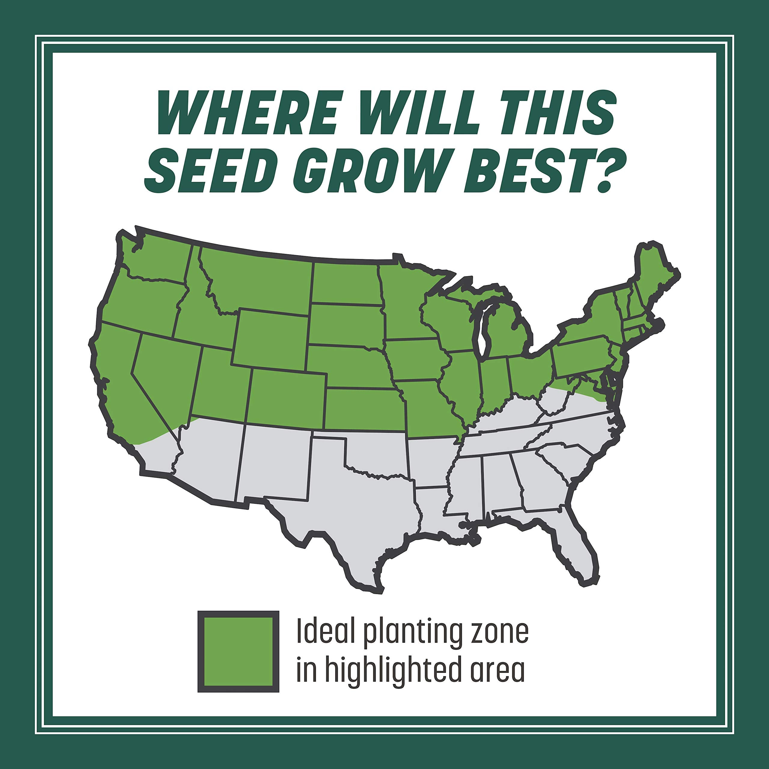 Pennington Smart Seed establishing lawn in 8 to 21 days.