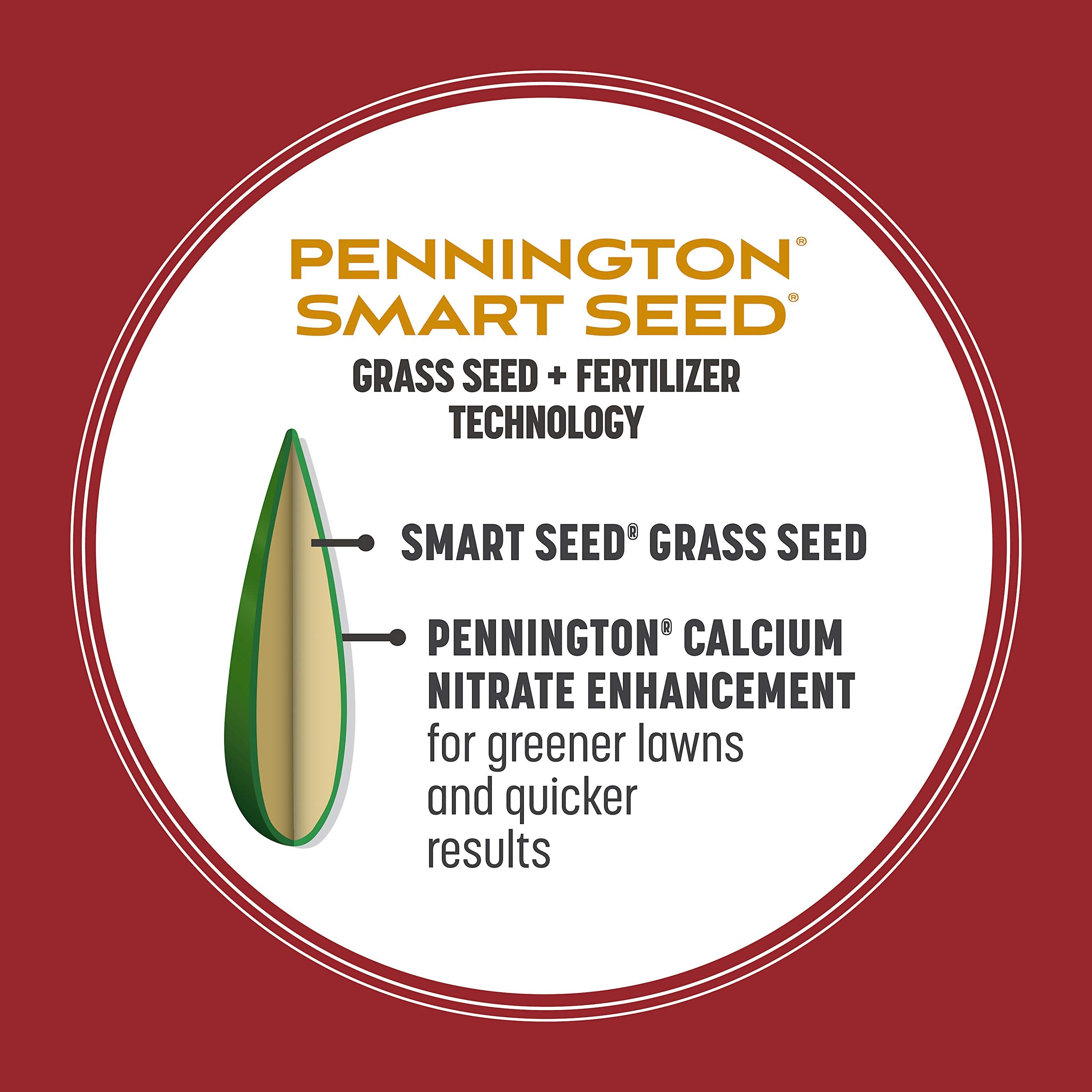 Pennington Smart Seed Perennial Ryegrass drought-tolerance feature for water-efficient lawns