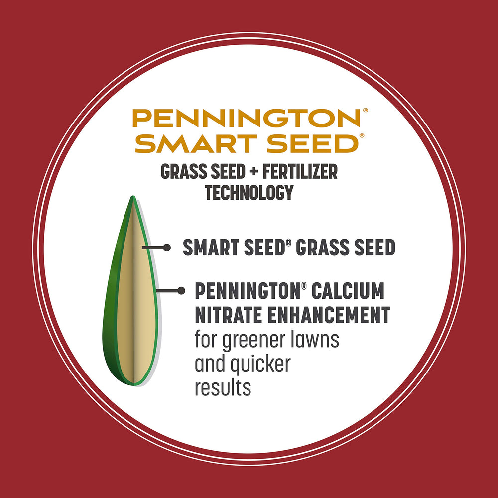 Pennington Smart Seed Perennial Ryegrass drought-tolerance feature for water-efficient lawns