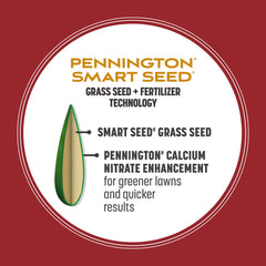 Pennington Smart Seed Perennial Ryegrass drought-tolerance feature for water-efficient lawns