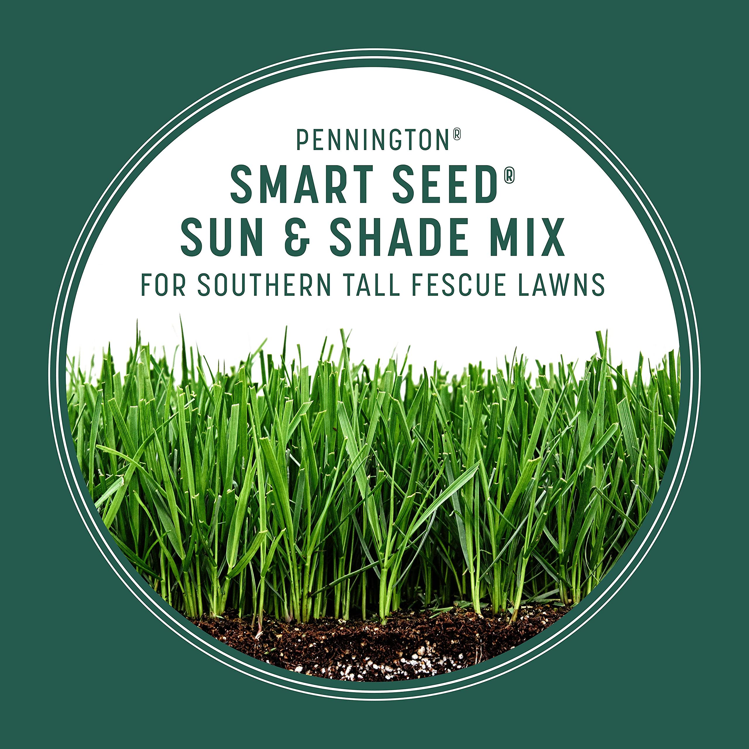 Pennington Smart Seed Sun & Shade suits lawns with 4–6 hours of sun daily