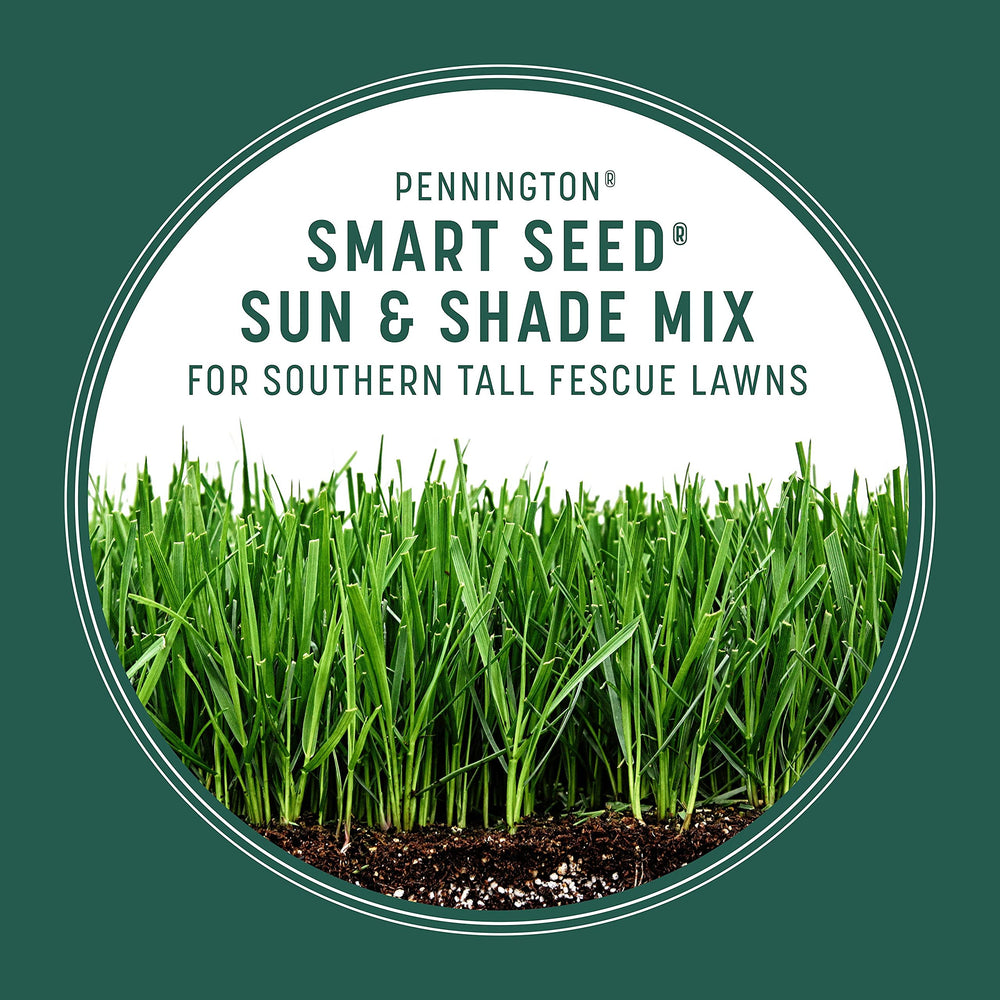 Pennington Smart Seed Sun & Shade suits lawns with 4–6 hours of sun daily