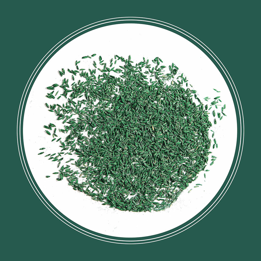 Water-saving benefits of Pennington Smart Seed after establishment.