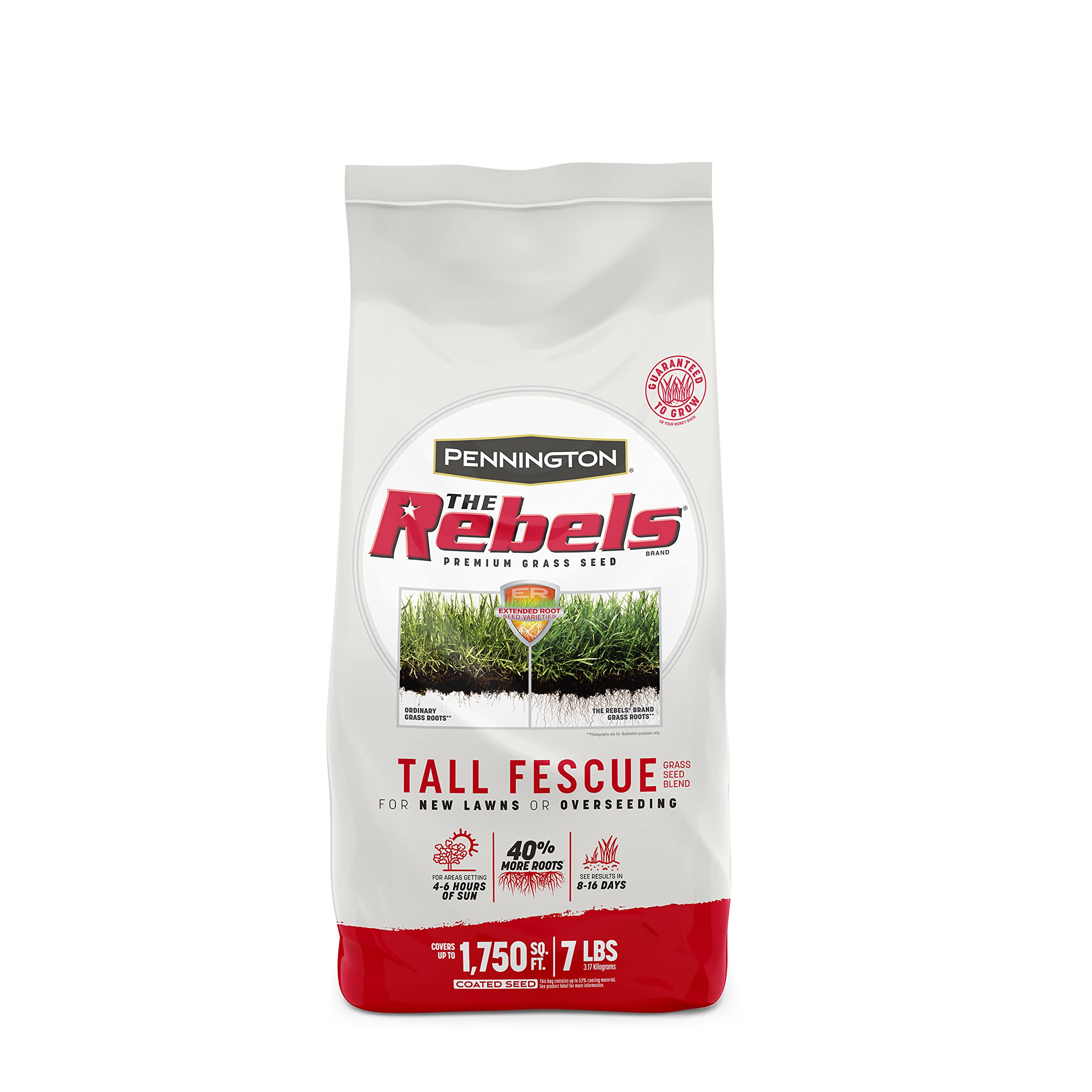 Pennington The Rebels tall fescue seed bag close-up shows deep roots and drought tolerance.