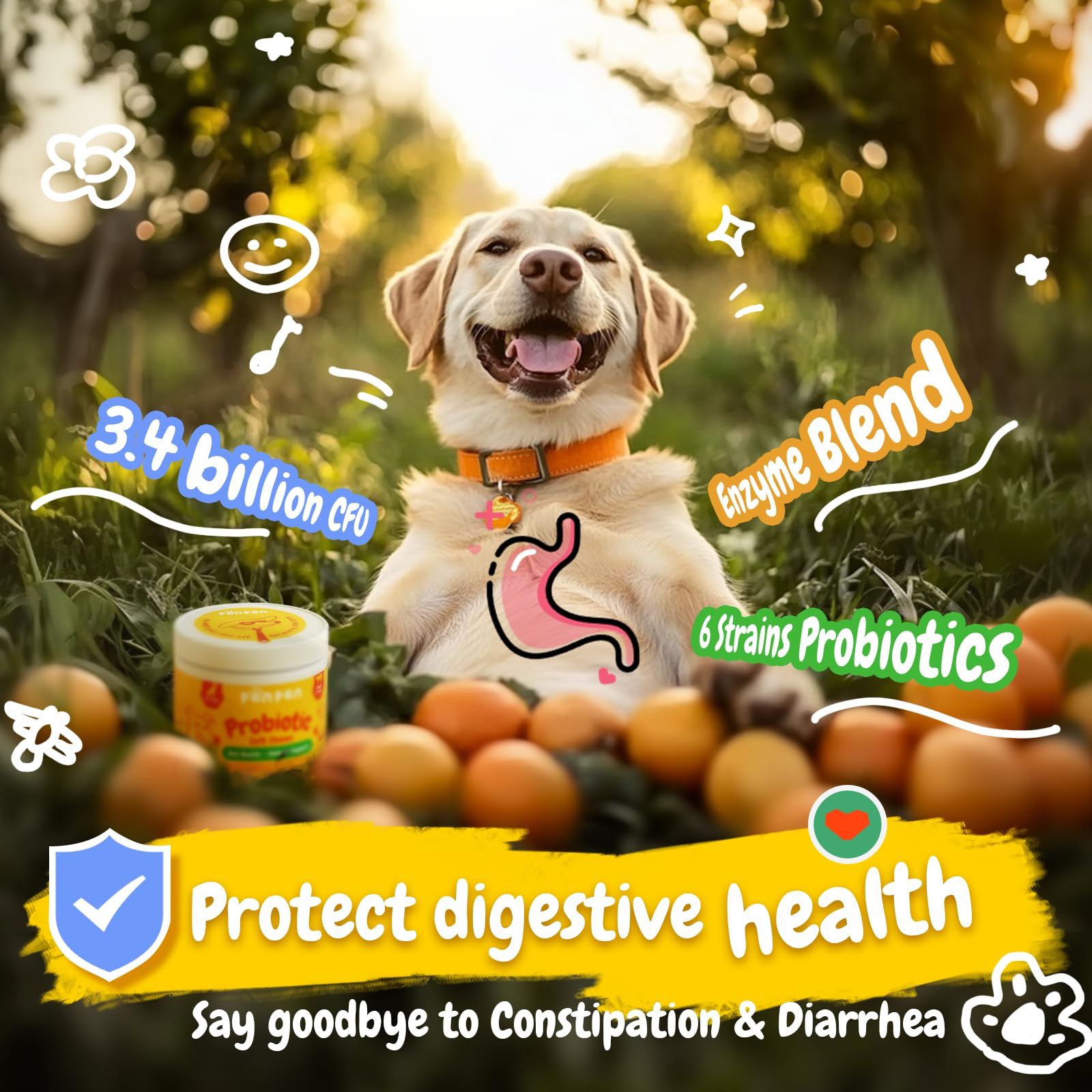 Immune-support claim on PENPEN dog probiotics bottle appeals to mindful owners.