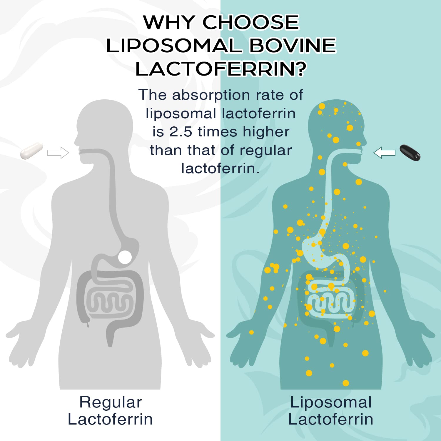 Label close-up highlighting liposomal technology and bovine colostrum.