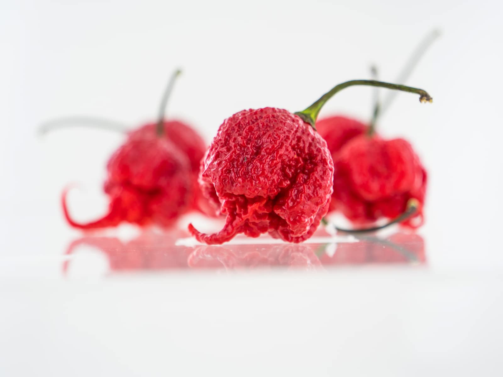 Carolina Reaper seeds by Pepper Joe's, USA-grown and non-GMO for home gardens.