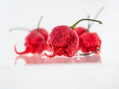 Carolina Reaper seeds by Pepper Joe's, USA-grown and non-GMO for home gardens.