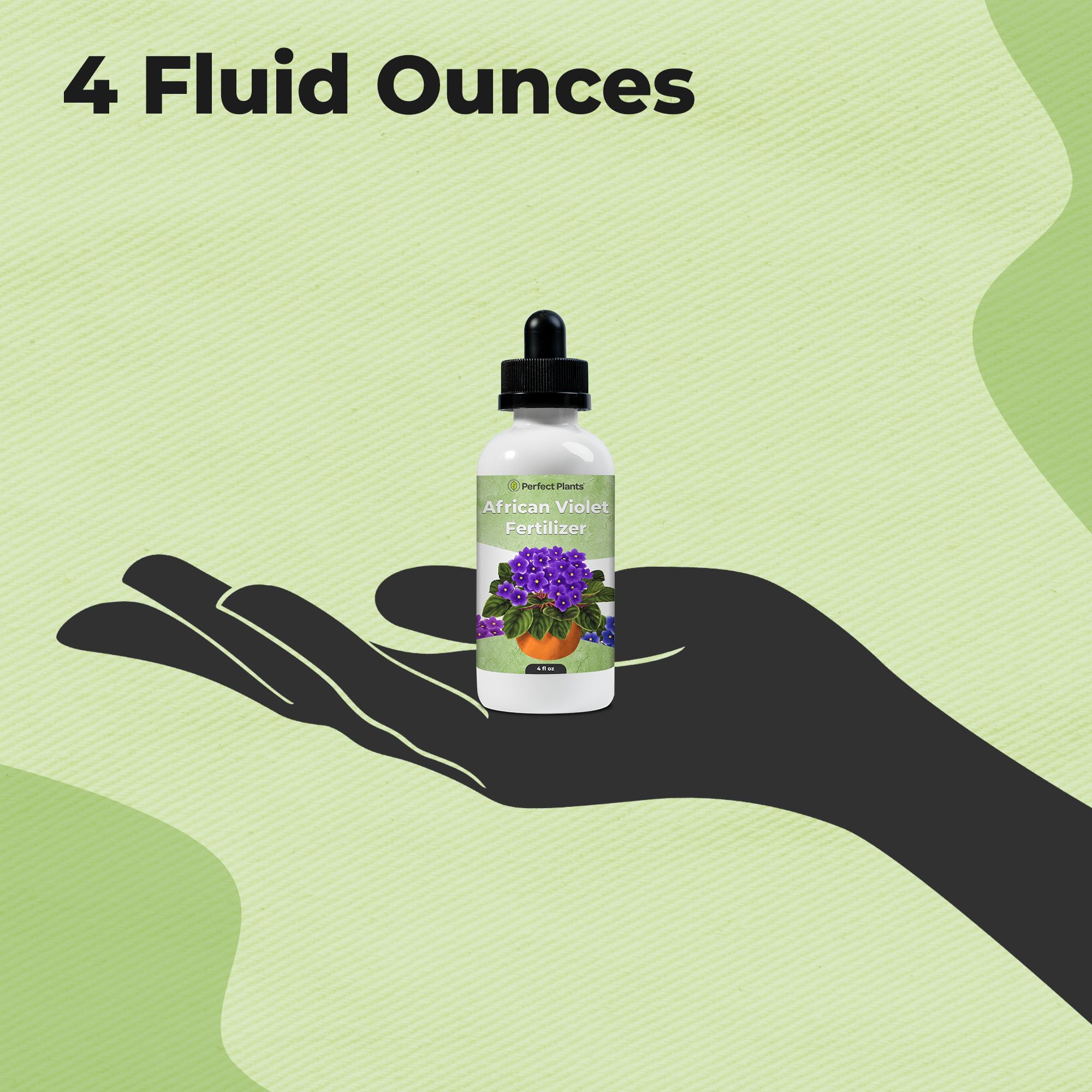 Nourishing formula supports robust root growth in indoor violets.