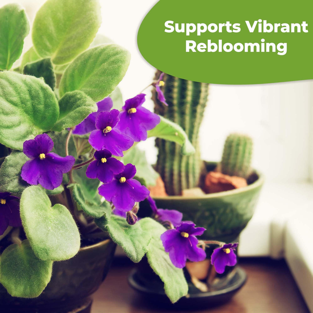 USA-made packaging from Perfect Plants signals quality for violet care.