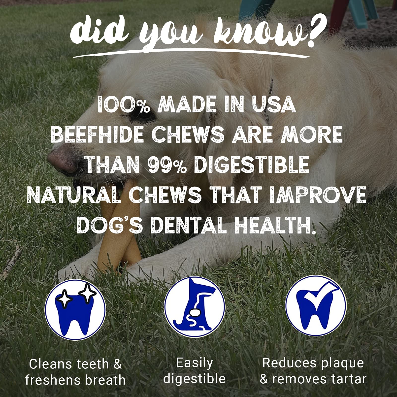 Pet Factory beefhide braid stick natural flavor close-up highlights sturdy texture for prolonged chewing.