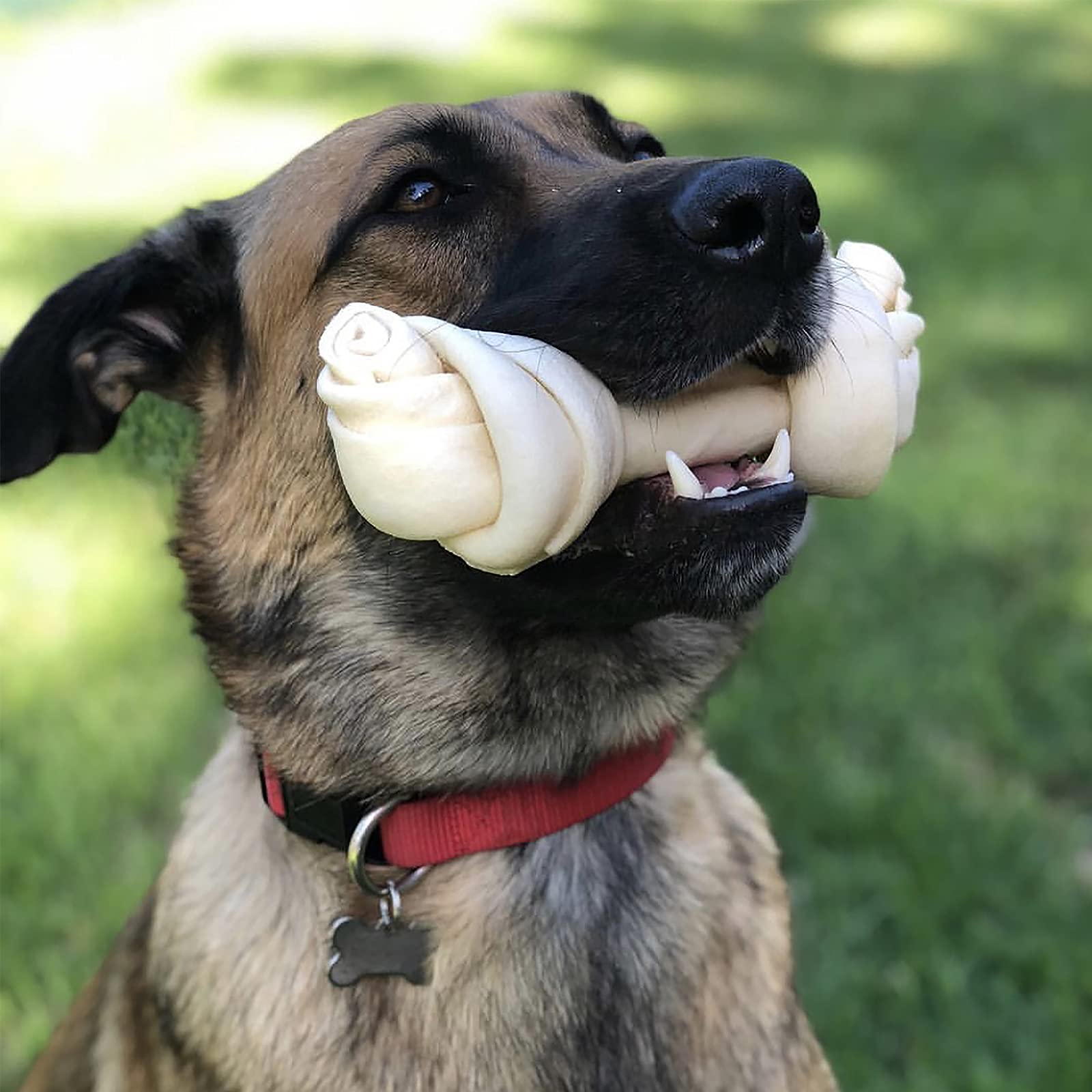 Pet Factory saveur-naturelle: goût authentique sans additifs.