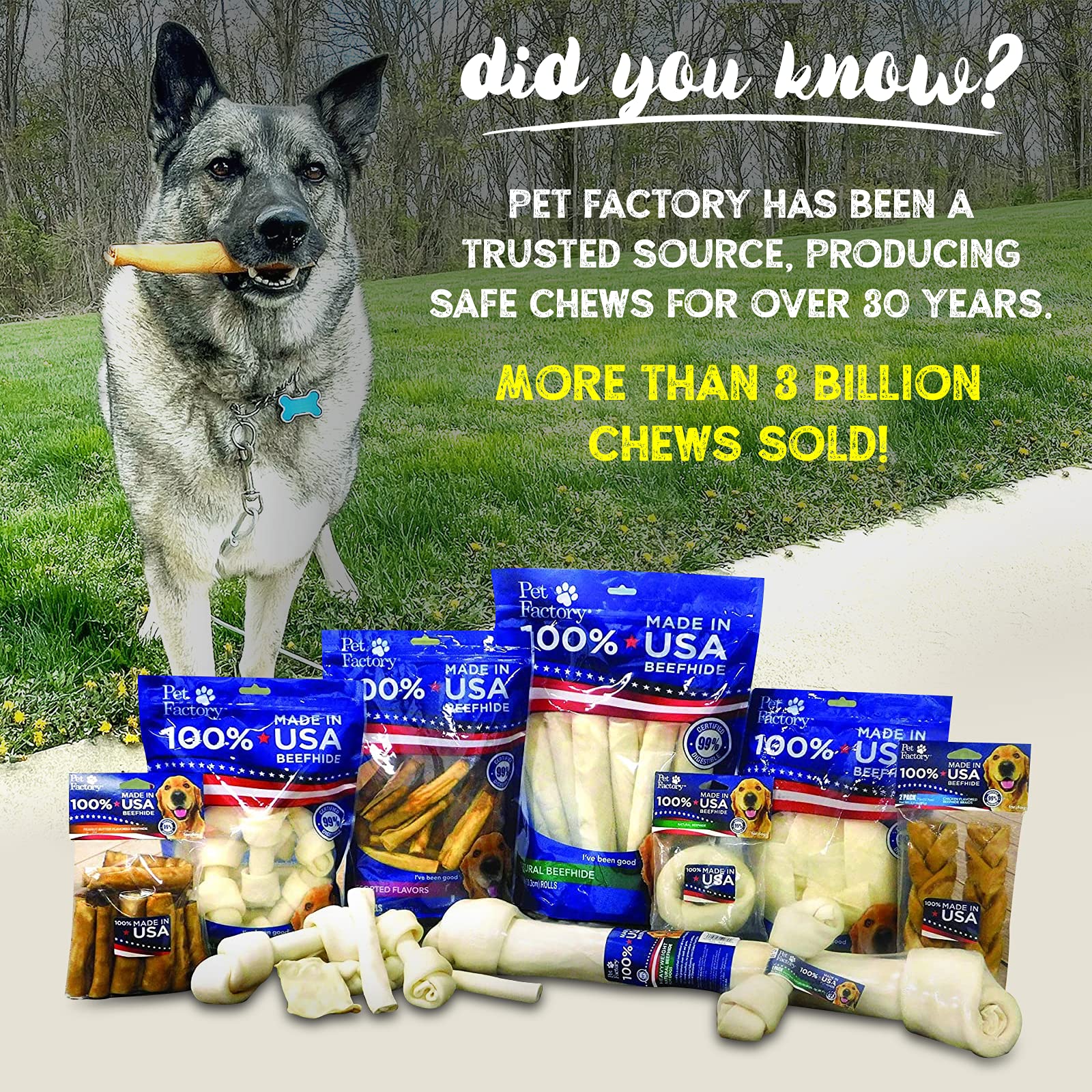 Pet Factory USA-sourced beefhide rawhide close-up emphasizes American-made safety and quality.