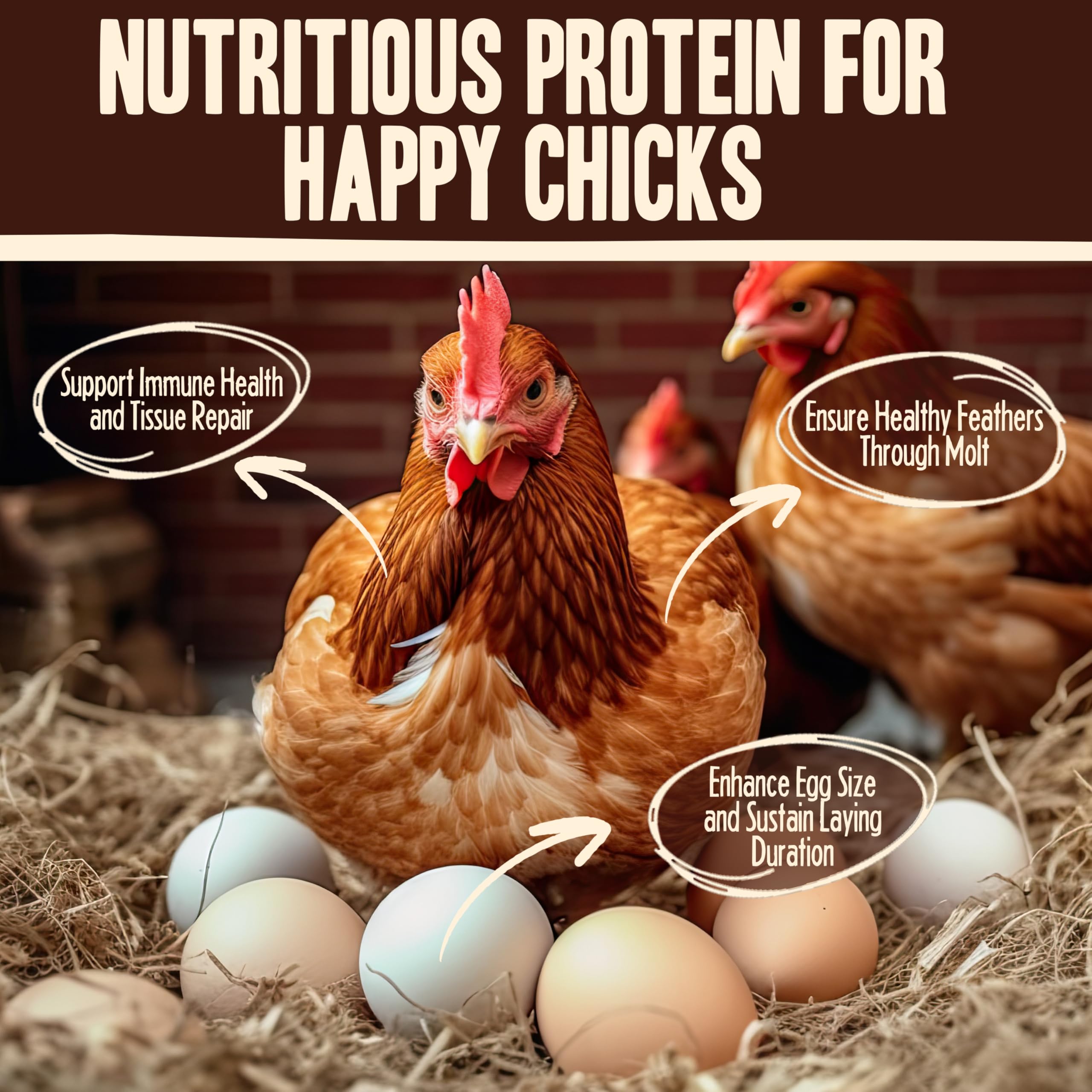 Pet Faves dried mealworms crunchy texture: a tasty, protein-rich treat for chickens and birds.