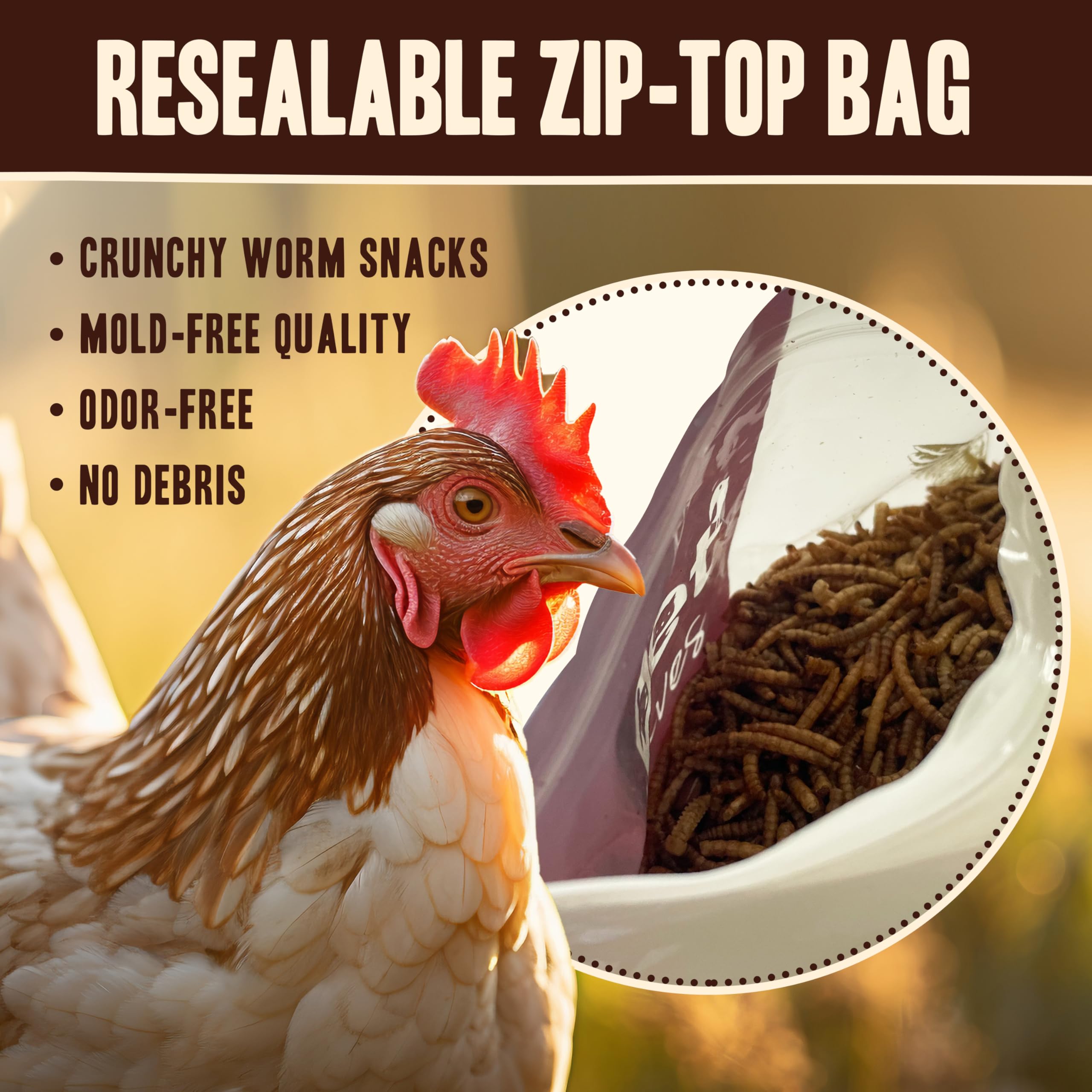 Pet Faves dried mealworms serving-suggestions: easy to sprinkle as a daily snack for birds and small pets.
