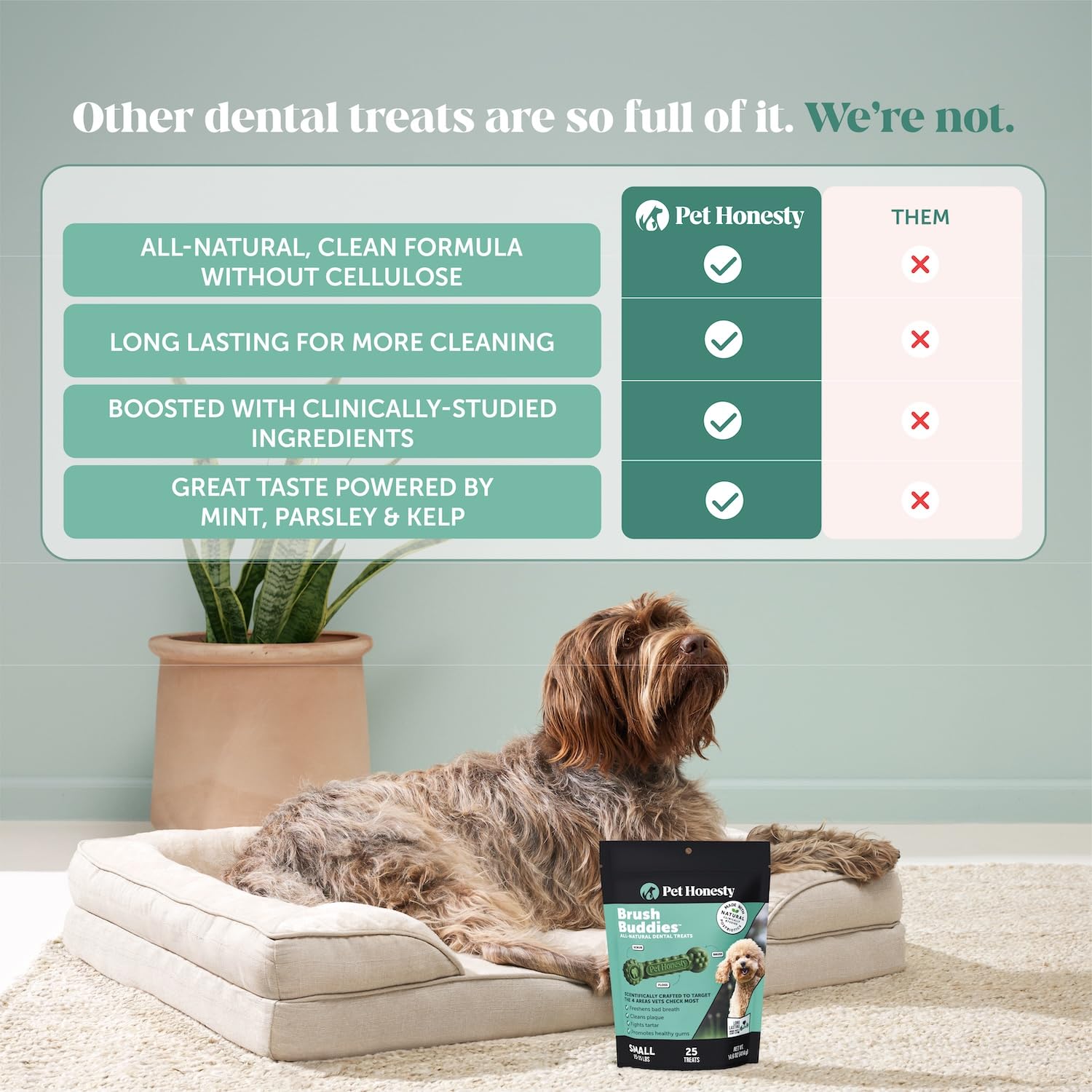 Pet Honesty Brush Buddies close-up demonstrating plaque and tartar removal action.
