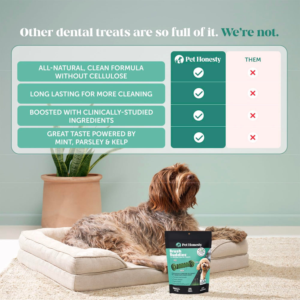 Pet Honesty Brush Buddies close-up demonstrating plaque and tartar removal action.