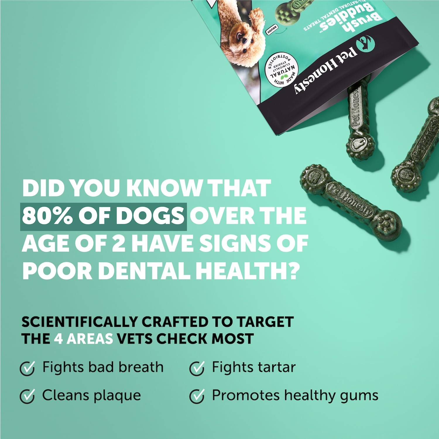Pet Honesty Brush Buddies textured dental stick ready for chewing, supports dental health.
