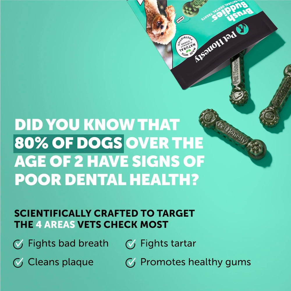 Pet Honesty Brush Buddies textured dental stick ready for chewing, supports dental health.
