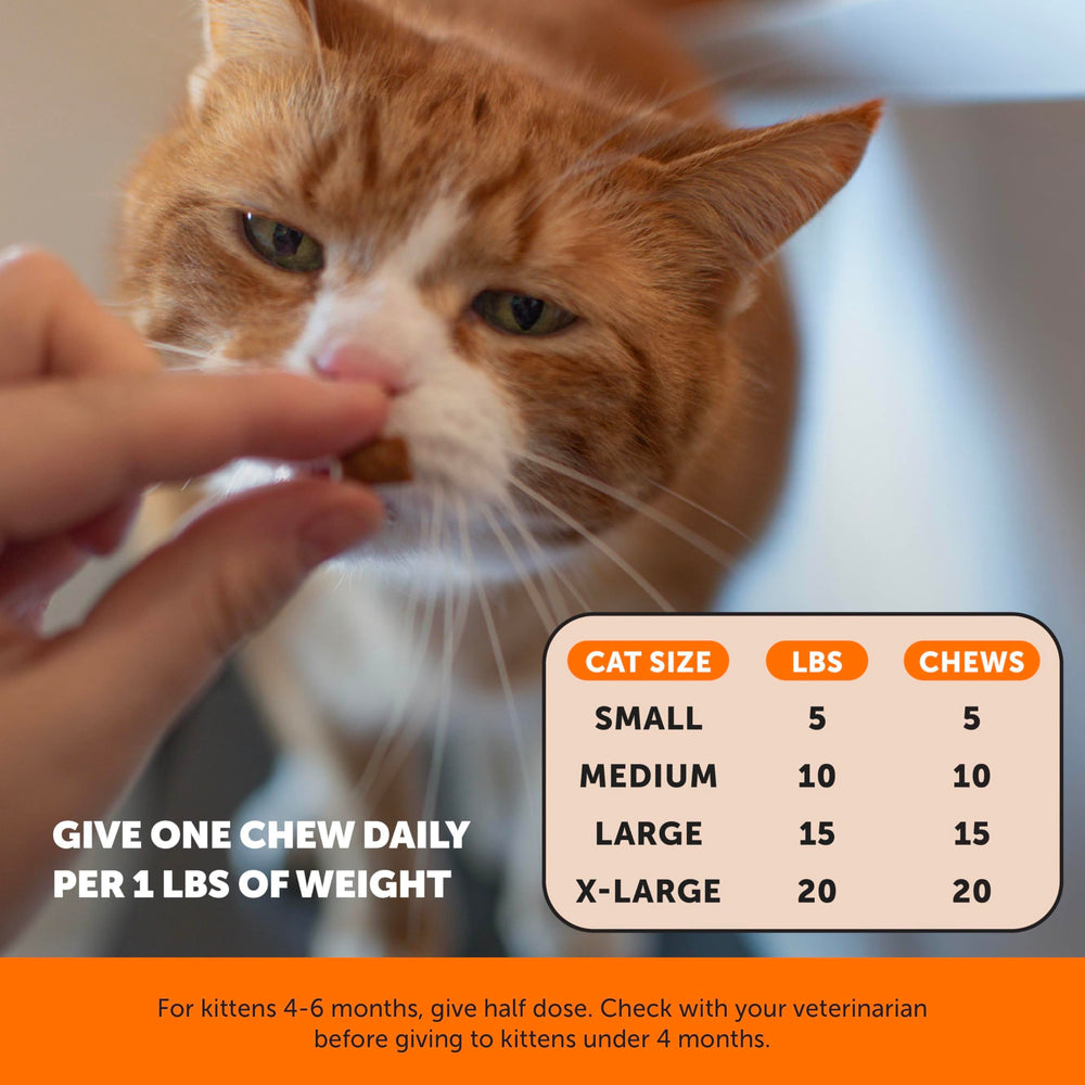 Pet Honesty chews crumble easily over meals for easy serving.