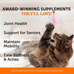 Crunchy-creamy texture of Pet Honesty chews appeals to cats.