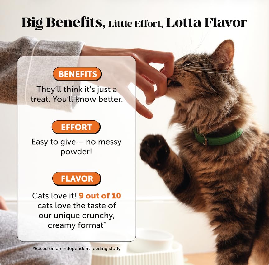 Omega-3s and green-lipped mussel in Pet Honesty formula for joints.