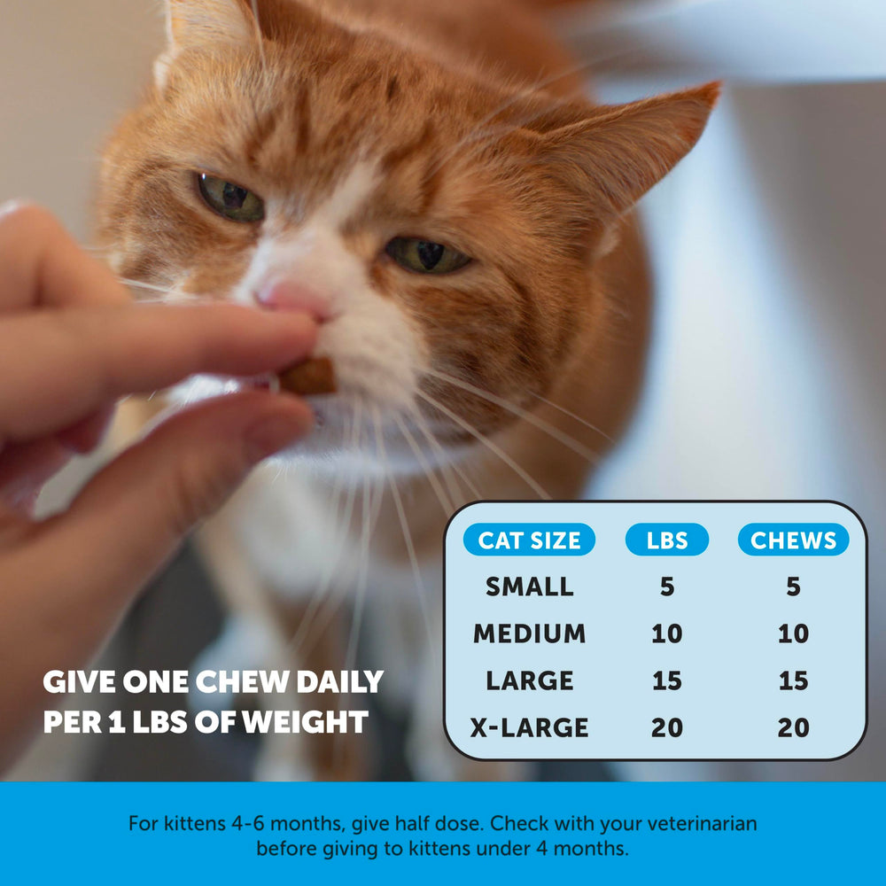 Pet Honesty crunchy-creamy texture makes the chews appealing to cats.
