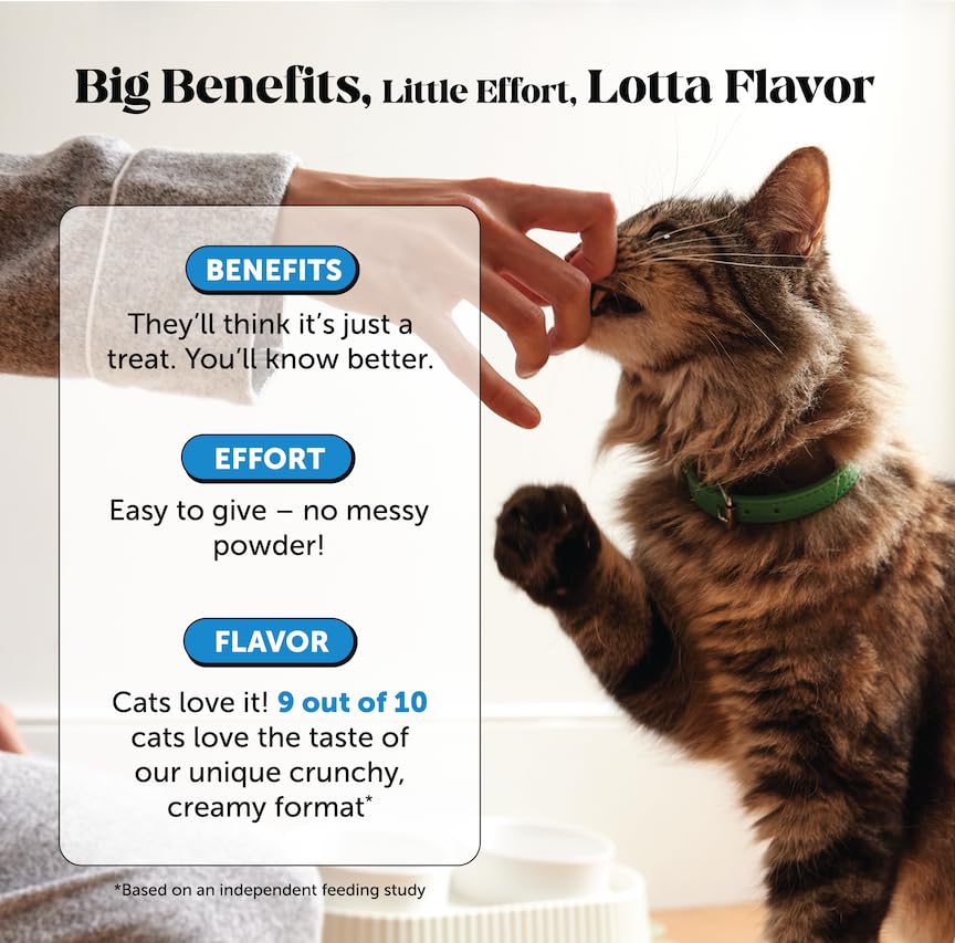 Pet Honesty Vitamin C & E blend in chews for coat wellness.