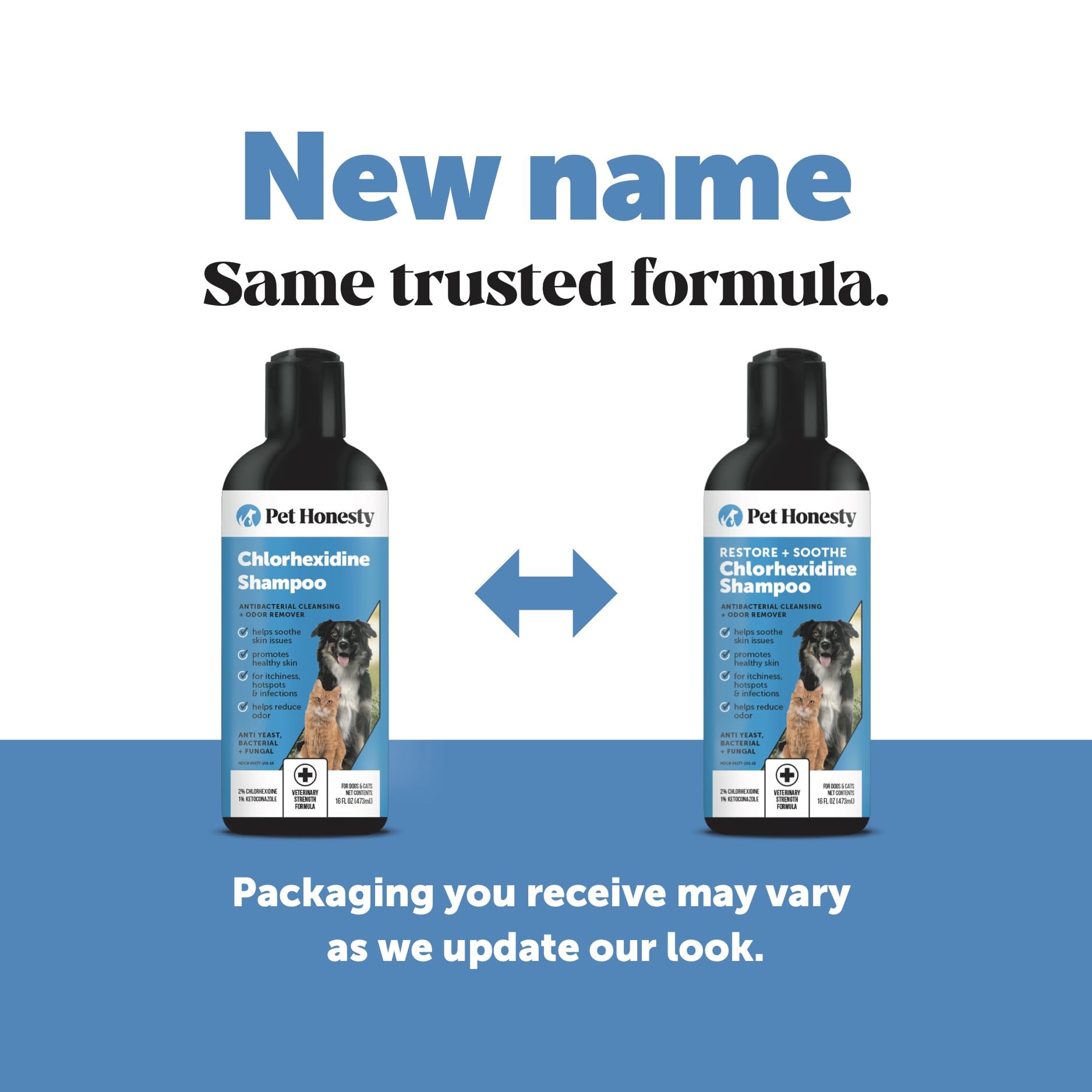 Pet Honesty chlorhexidine shampoo on a dog paw during bath