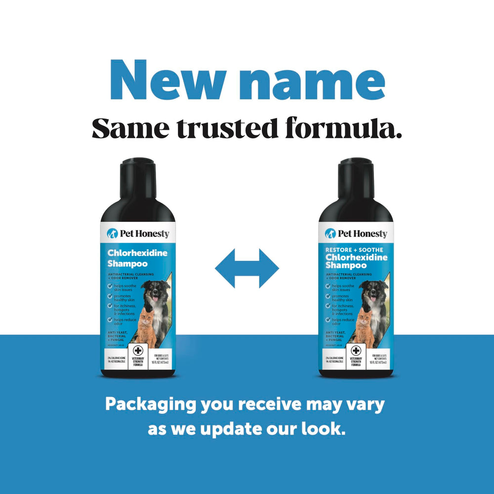 Pet Honesty chlorhexidine shampoo on a dog paw during bath
