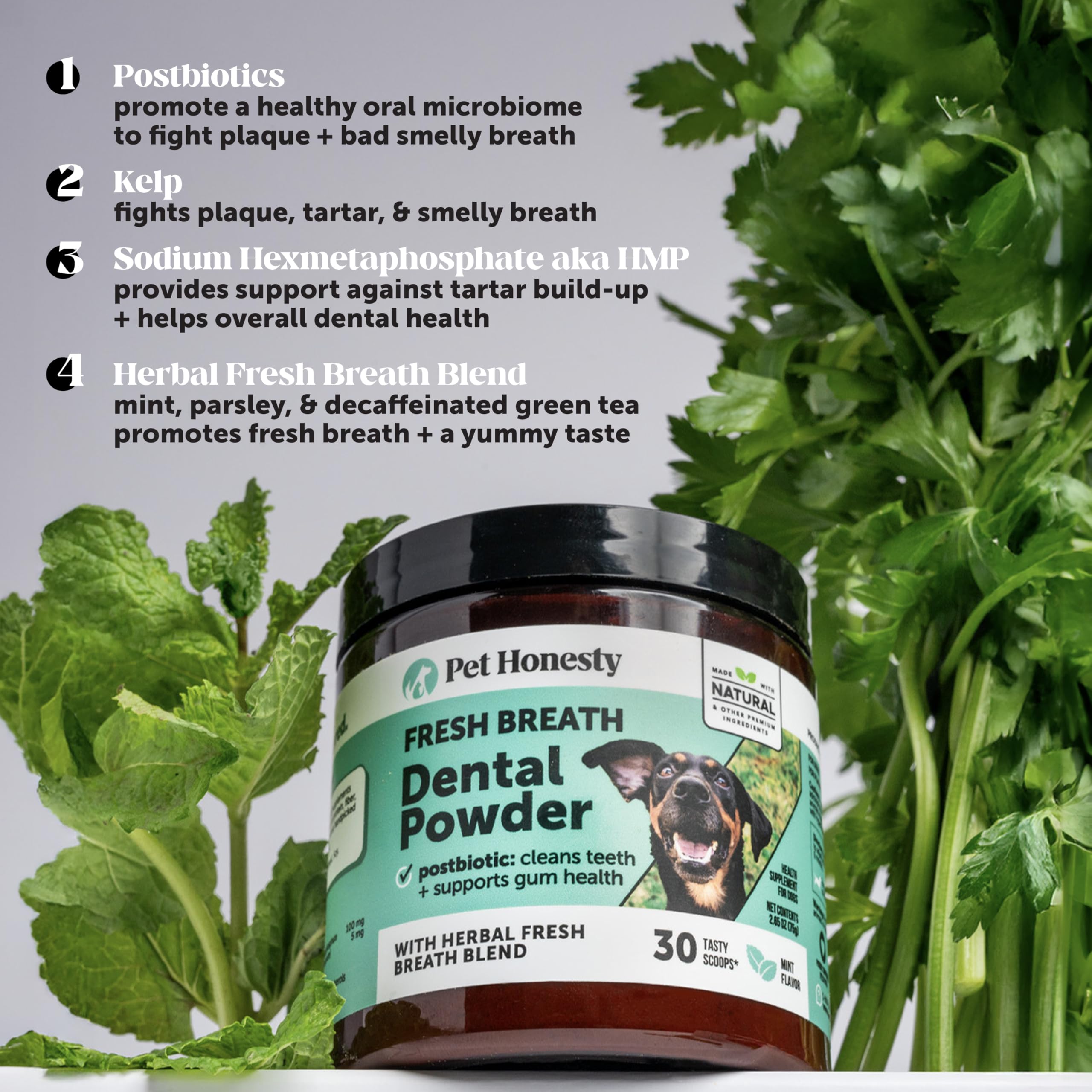 Pet Honesty powder is sprinkled on dog food for simple use.