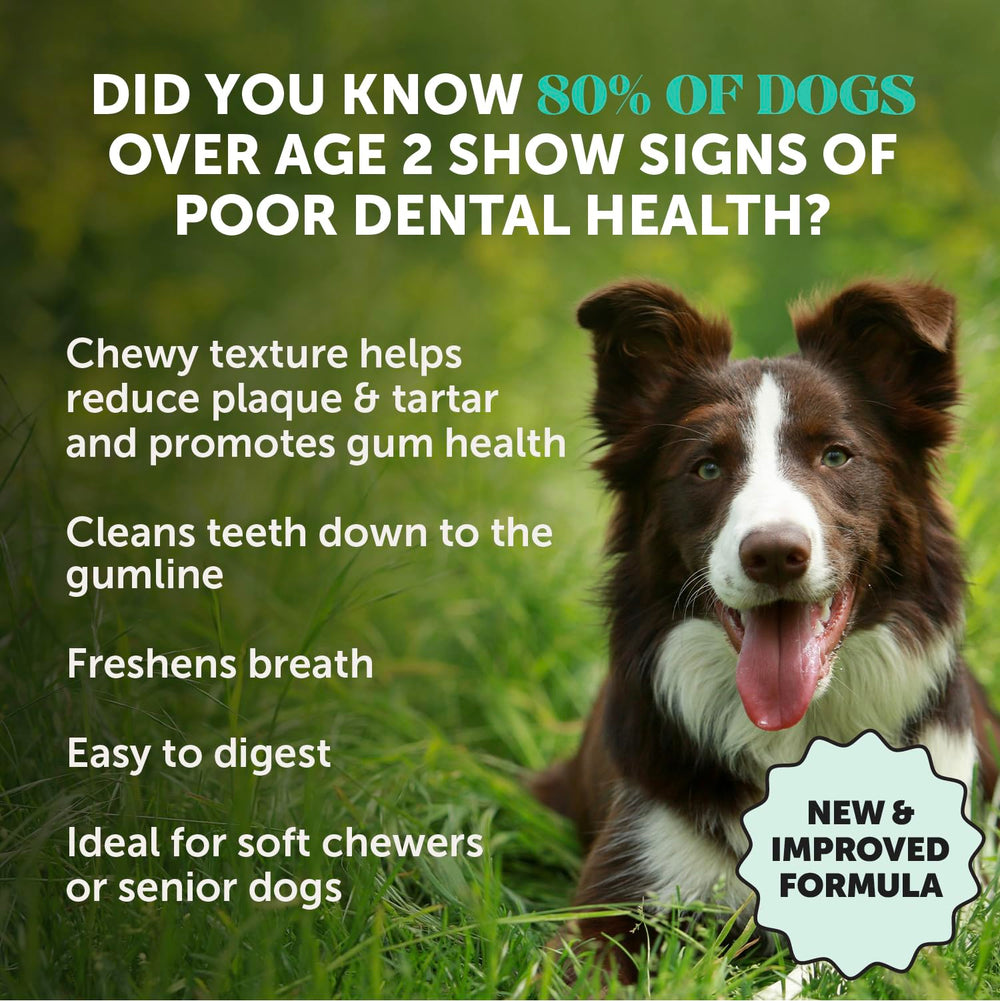 Pet Honest dental sticks texture close-up shows ridged surface for cleaning.
