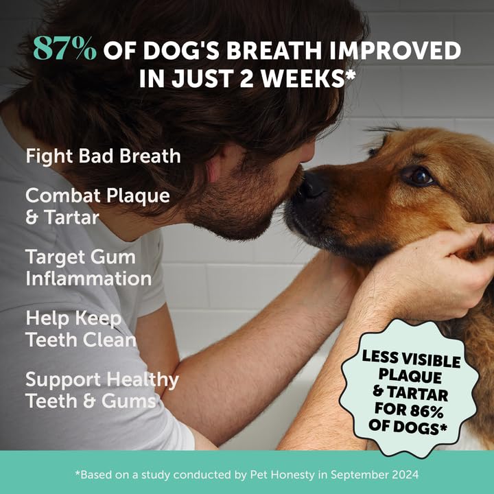 Pet Honesty dosing spoon with powder enables an easy daily sprinkle.