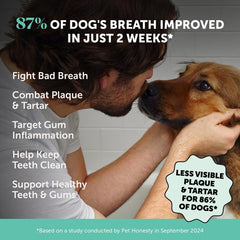 Pet Honesty dosing spoon with powder enables an easy daily sprinkle.