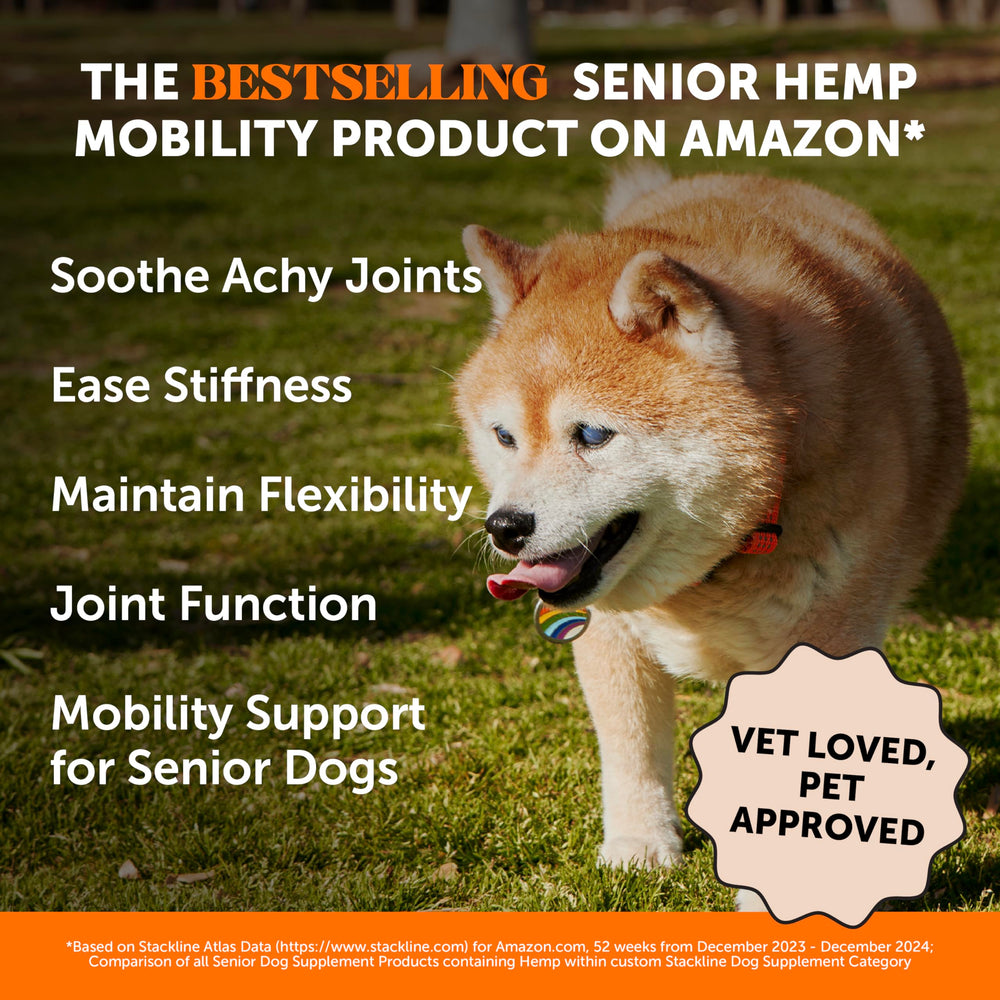 Pet Honesty glucosamine chondroitin MSM for cartilage support.