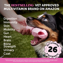 Pet Honesty glucosamine and chondroitin for joint comfort in dogs.