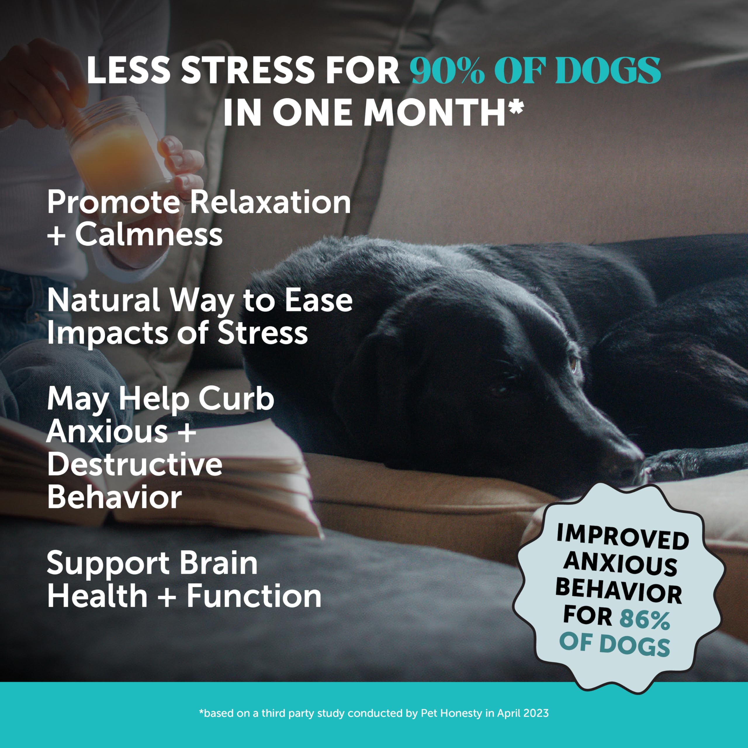 Pet Honesty calming chews bottle on shelf, supporting relaxed car rides