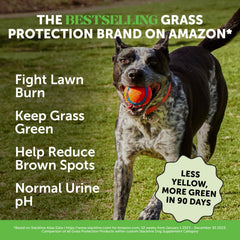 Pet Honesty Grass Green duck chews close-up highlighting tasty, easy-to-dose lawn care.