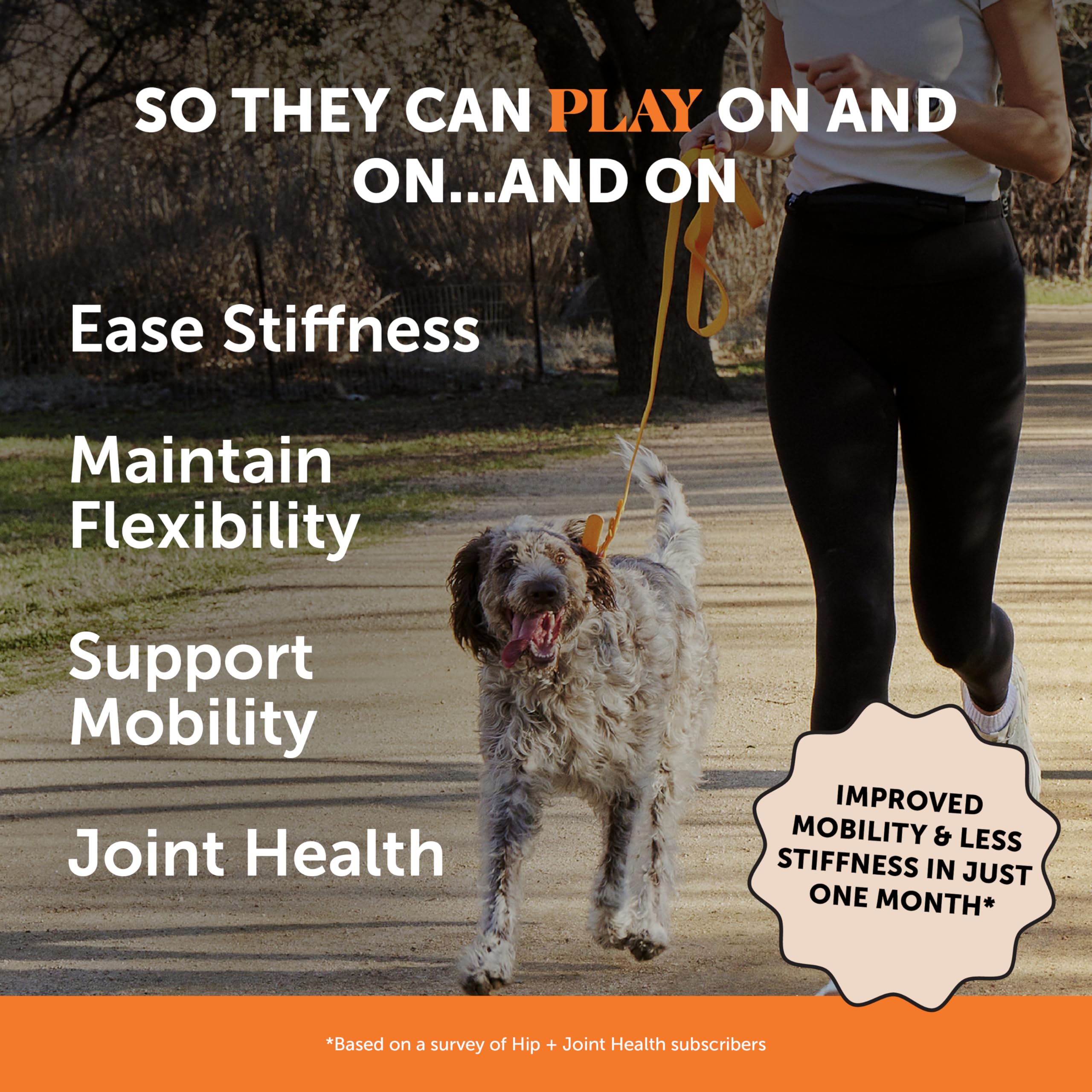 Pet Honesty hip joint soft chews on shelf displaying packaging.