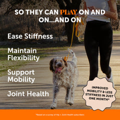 Pet Honesty hip joint soft chews on shelf displaying packaging.