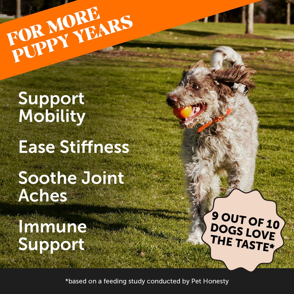 Pet Honesty Hip & Joint turmeric soft chews shown with open bottle.