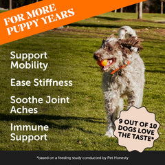 Pet Honesty Hip & Joint turmeric soft chews shown with open bottle.