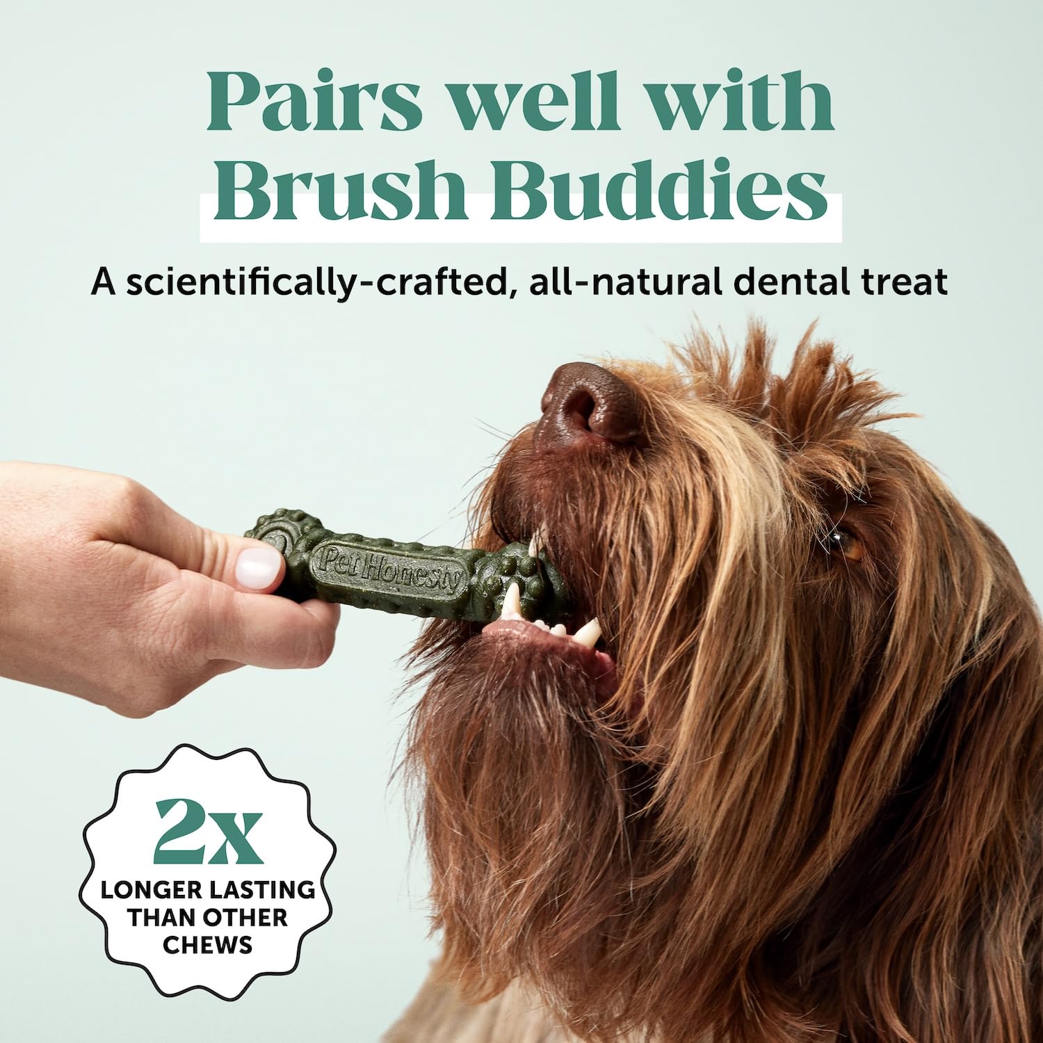 Pet Honesty natural ingredients close-up showcases kelp, mint, and parsley.