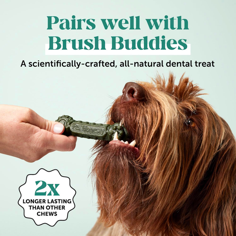 Pet Honesty natural ingredients close-up showcases kelp, mint, and parsley.
