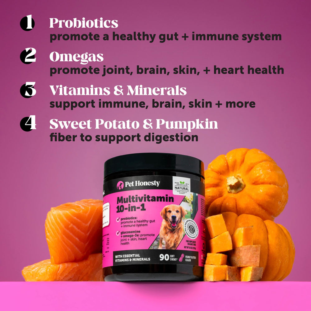 Pet Honesty probiotics and pumpkin support digestion in dogs.