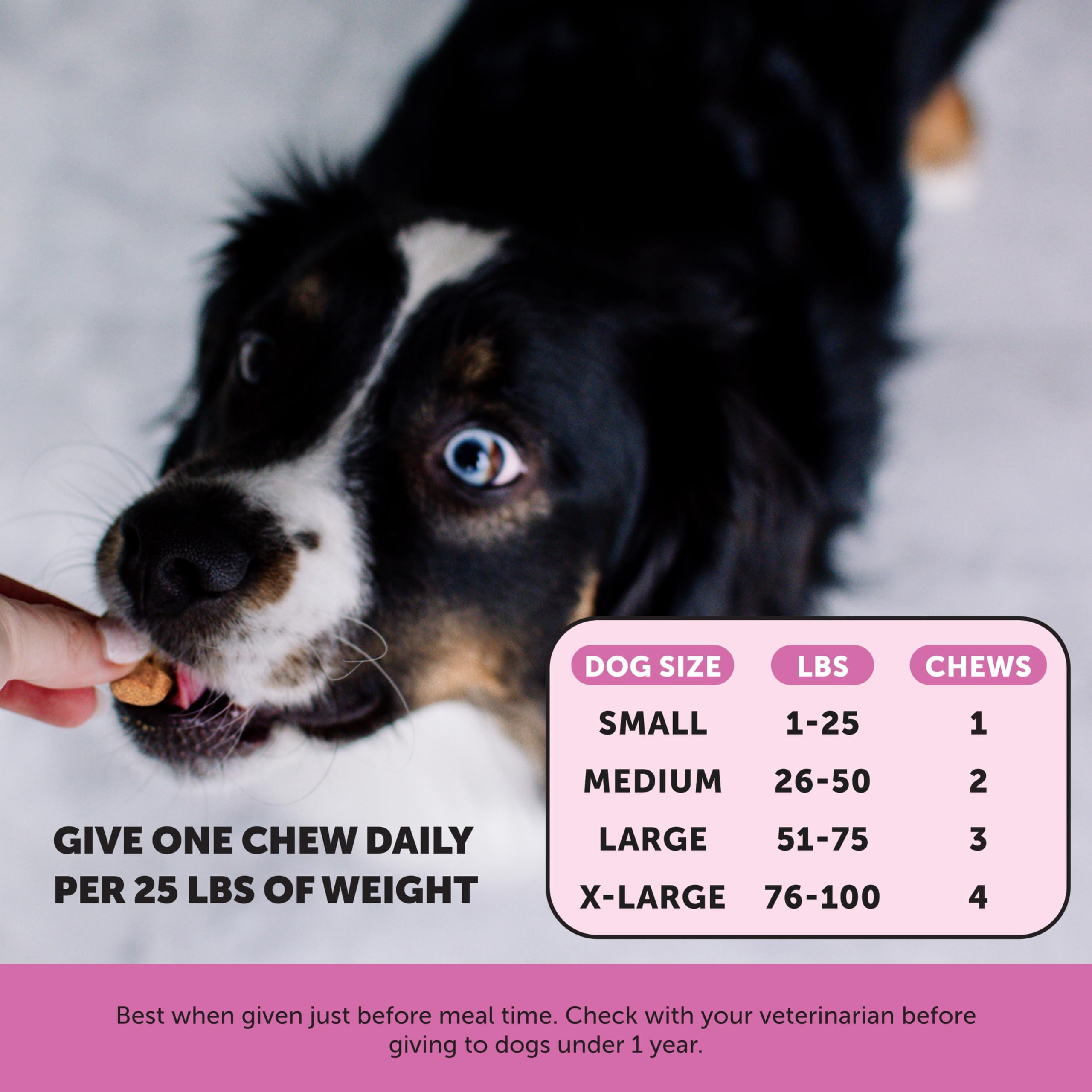 Pet Honesty Senior Dog Multivitamin glucosamine close-up shows joint support.