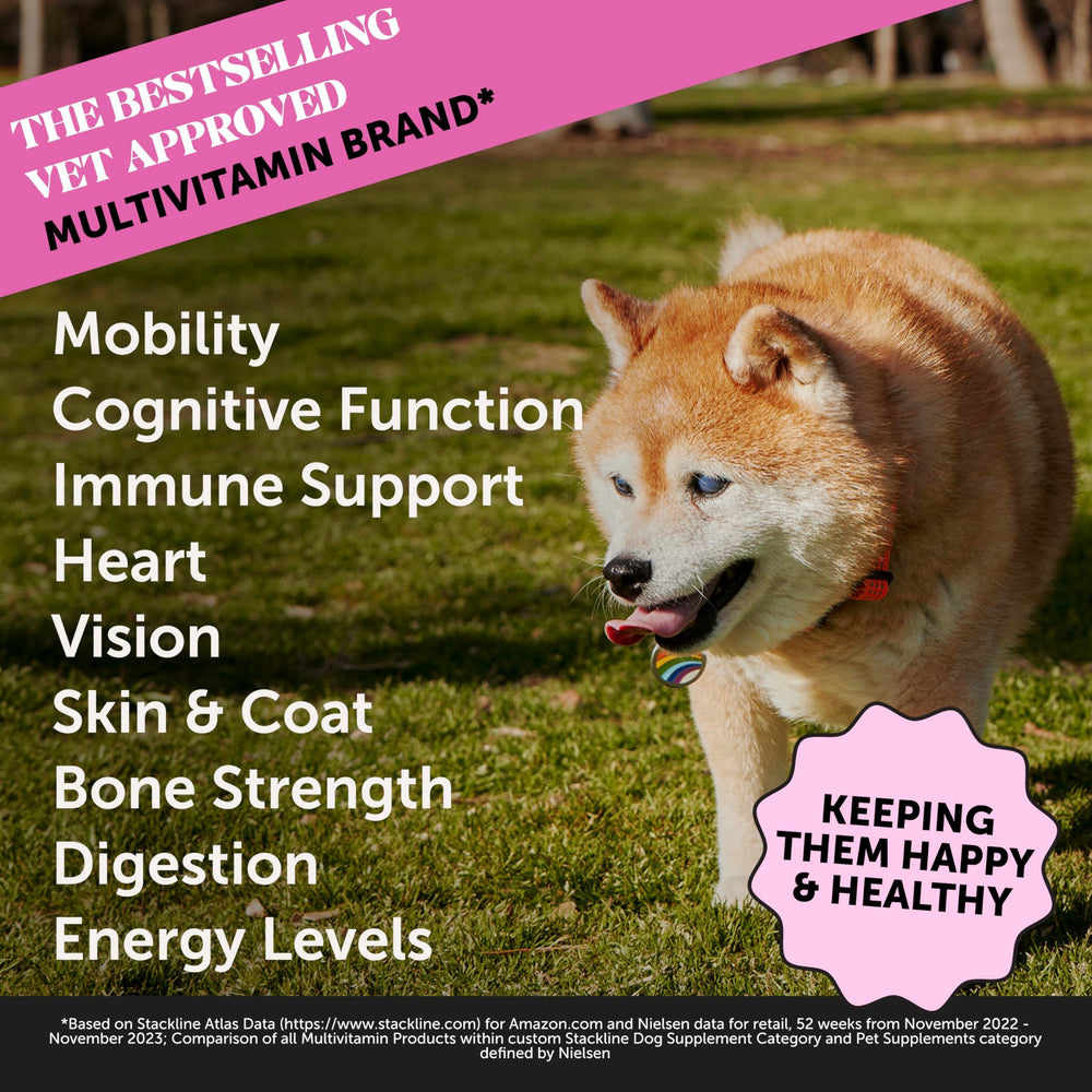 Pet Honesty Senior Dog Multivitamin soft chews in duck flavor make daily vitamins easy.
