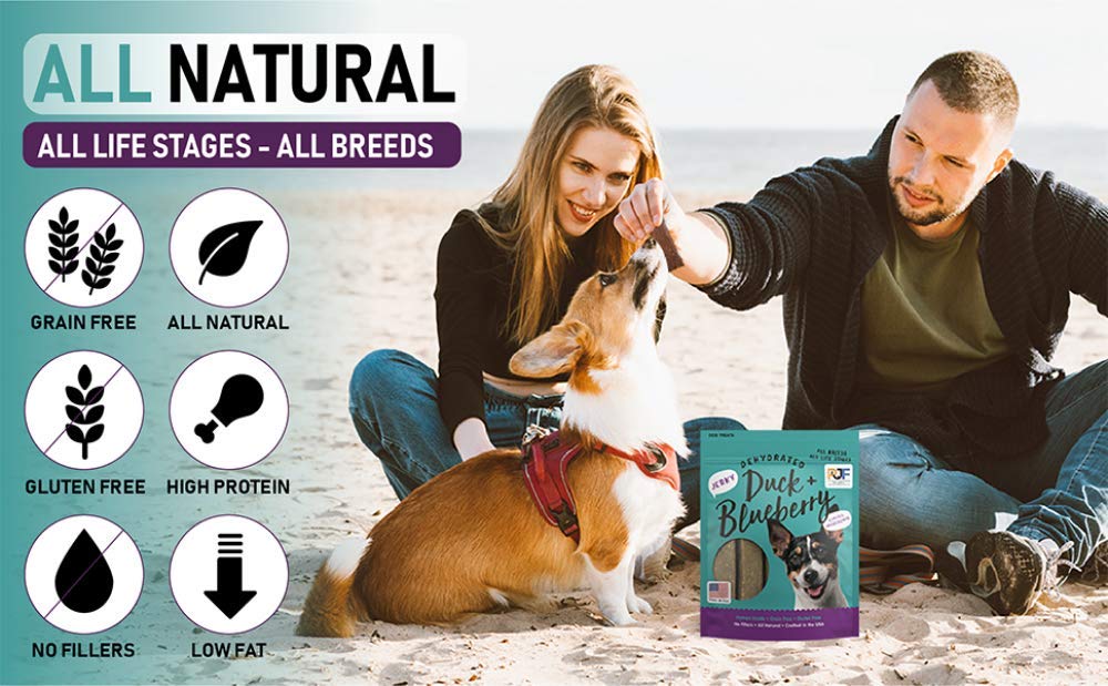 Pet Jerky Factory – ingrédients naturels visibles dans chaque bouchée riches en protéines